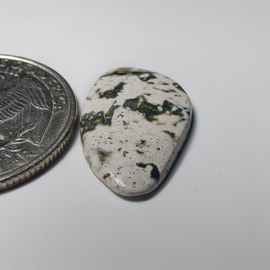 Ocean Jasper