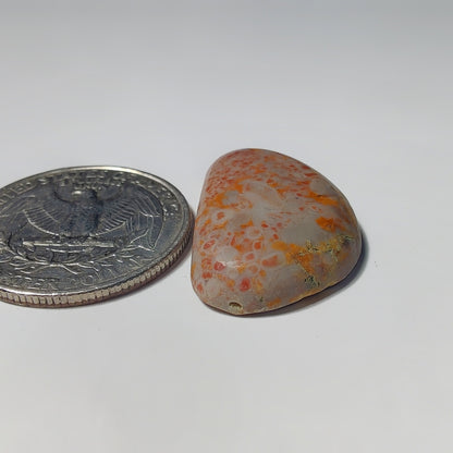 Ocean Jasper
