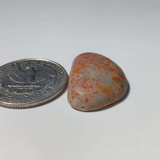 Ocean Jasper