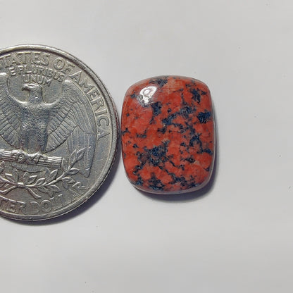 Ocean Jasper gemstone cabochon - natural crystal healing stone for jewelry making by Gemivra