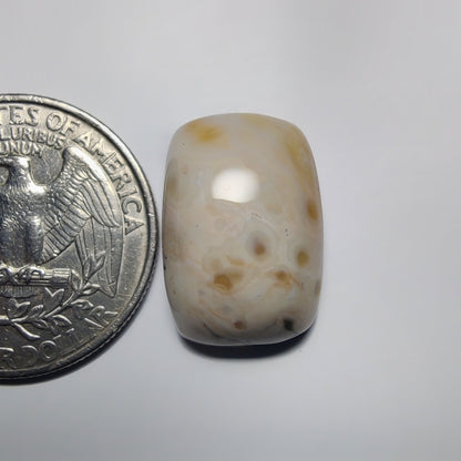 Ocean Jasper