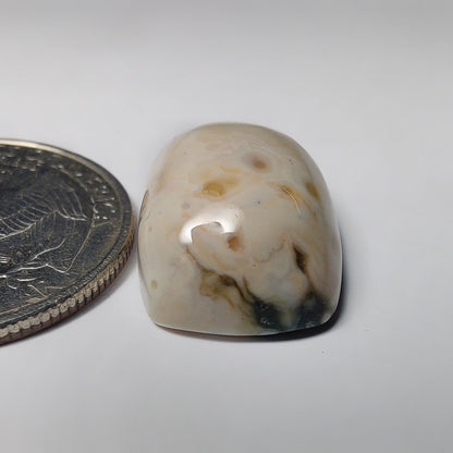 Ocean Jasper