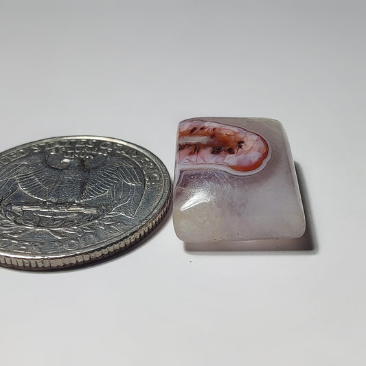 Botswana Agate
