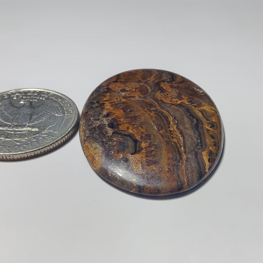 Stromatolite