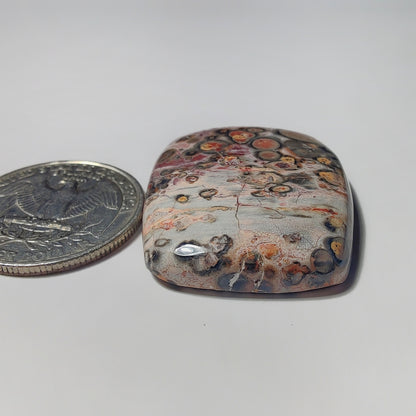 Leopard Skin Jasper