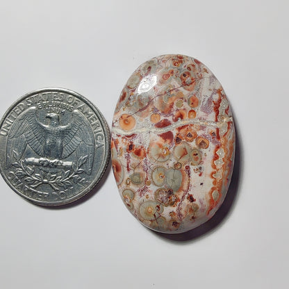 Leopard Skin Jasper gemstone cabochon - natural crystal healing stone for jewelry making by Gemivra