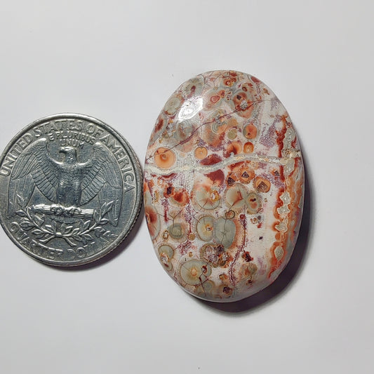 Leopard Skin Jasper gemstone cabochon - natural crystal healing stone for jewelry making by Gemivra