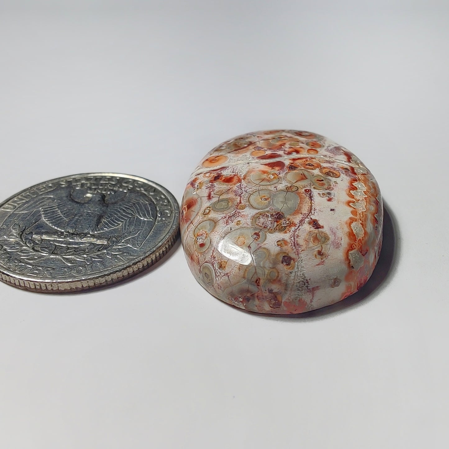 Leopard Skin Jasper