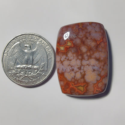 Ocean Jasper gemstone cabochon - natural crystal healing stone for jewelry making by Gemivra