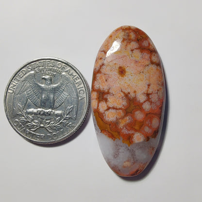 Ocean Jasper gemstone cabochon - natural crystal healing stone for jewelry making by Gemivra