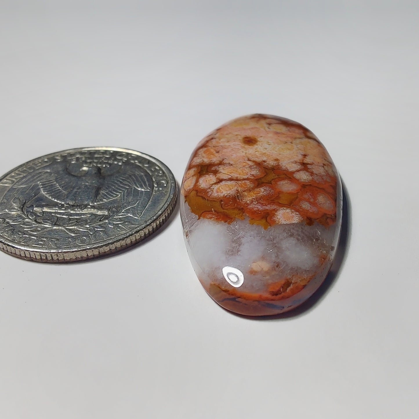 Ocean Jasper