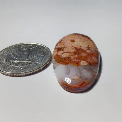 Ocean Jasper