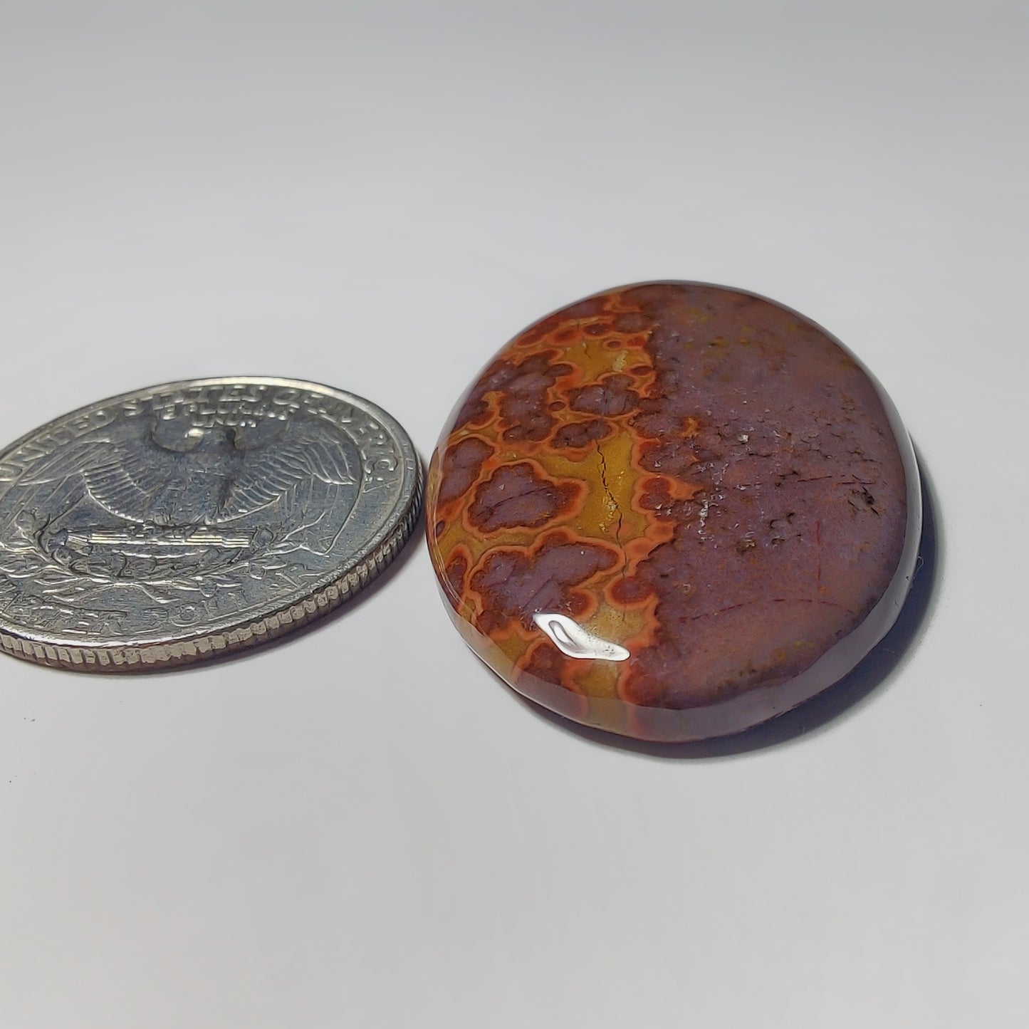 Ocean Jasper