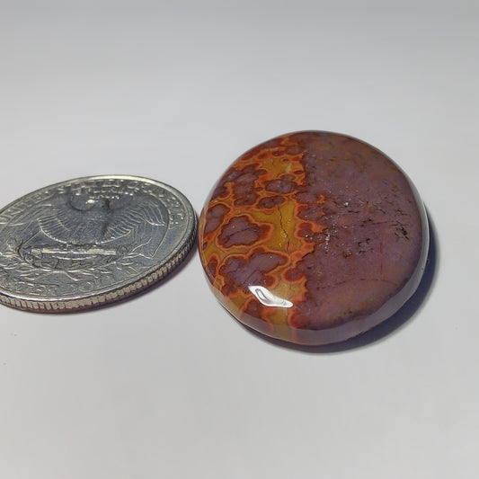 Ocean Jasper