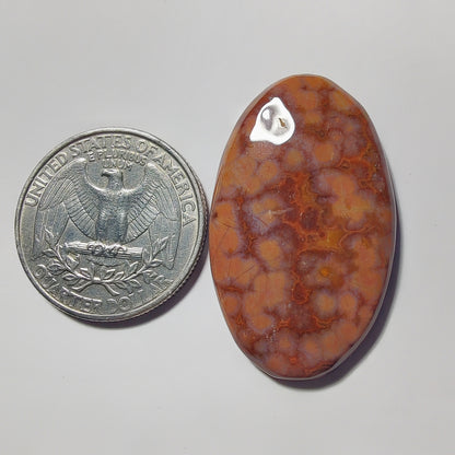 Ocean Jasper gemstone cabochon - natural crystal healing stone for jewelry making by Gemivra