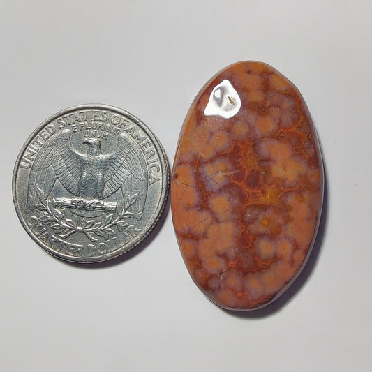 Ocean Jasper gemstone cabochon - natural crystal healing stone for jewelry making by Gemivra