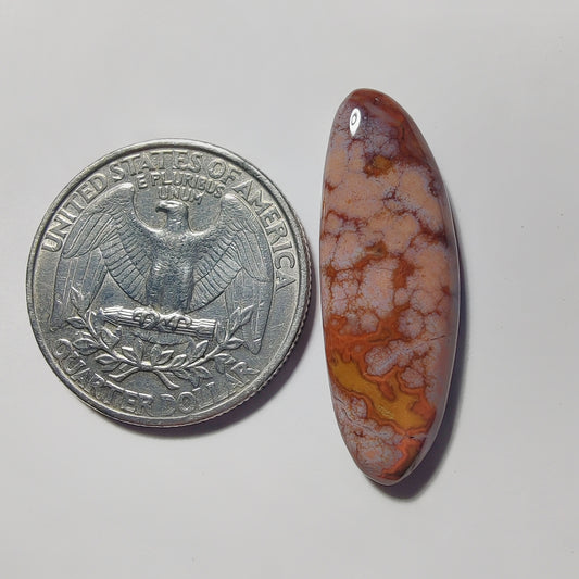 Ocean Jasper gemstone cabochon - natural crystal healing stone for jewelry making by Gemivra