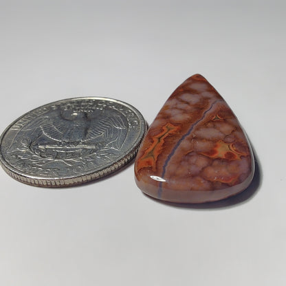 Ocean Jasper