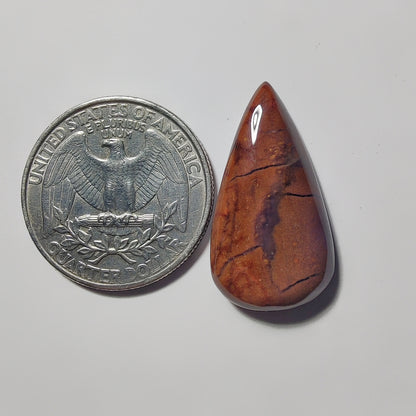 Ocean Jasper gemstone cabochon - natural crystal healing stone for jewelry making by Gemivra