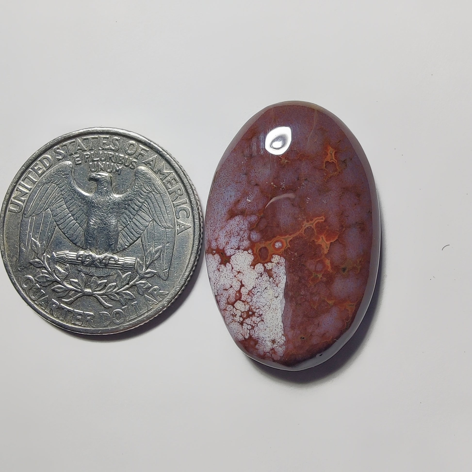 Ocean Jasper gemstone cabochon - natural crystal healing stone for jewelry making by Gemivra