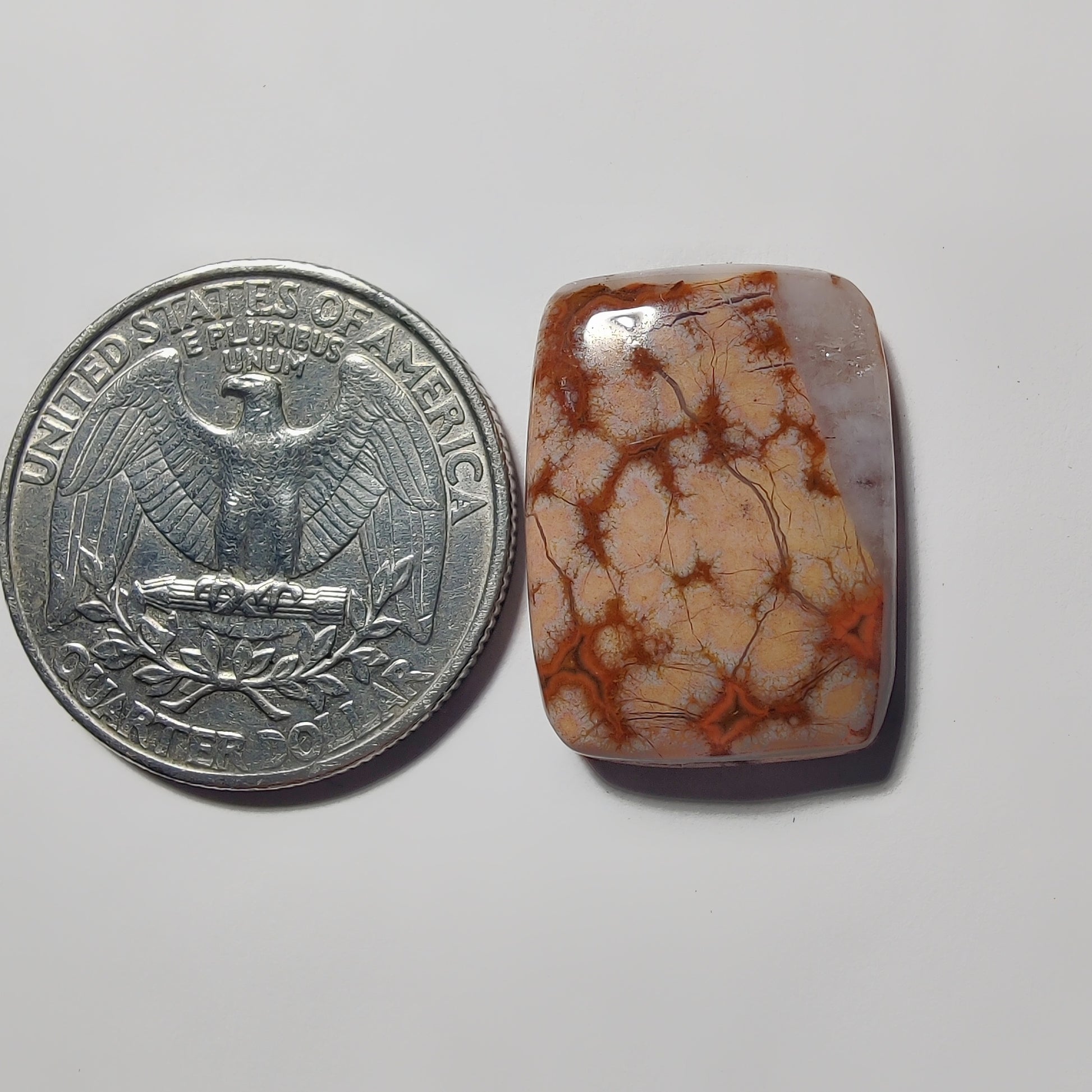Ocean Jasper gemstone cabochon - natural crystal healing stone for jewelry making by Gemivra
