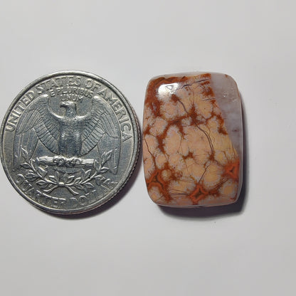 Ocean Jasper gemstone cabochon - natural crystal healing stone for jewelry making by Gemivra