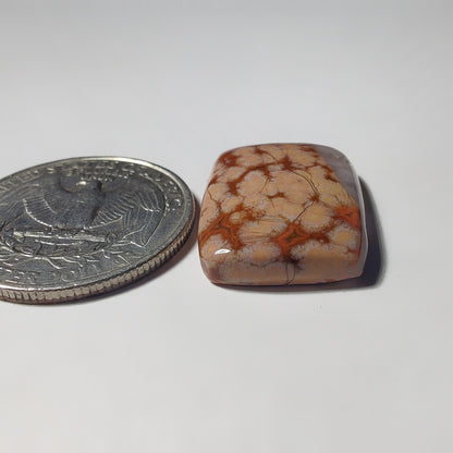 Ocean Jasper