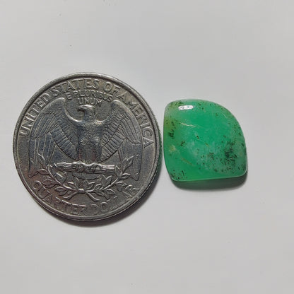 Chrysoprase gemstone cabochon - natural crystal healing stone for jewelry making by Gemivra