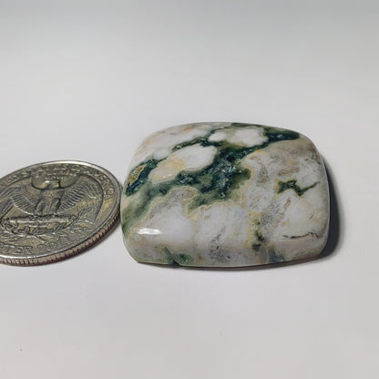 Ocean Jasper