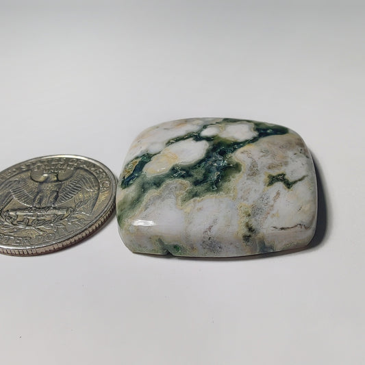 Ocean Jasper