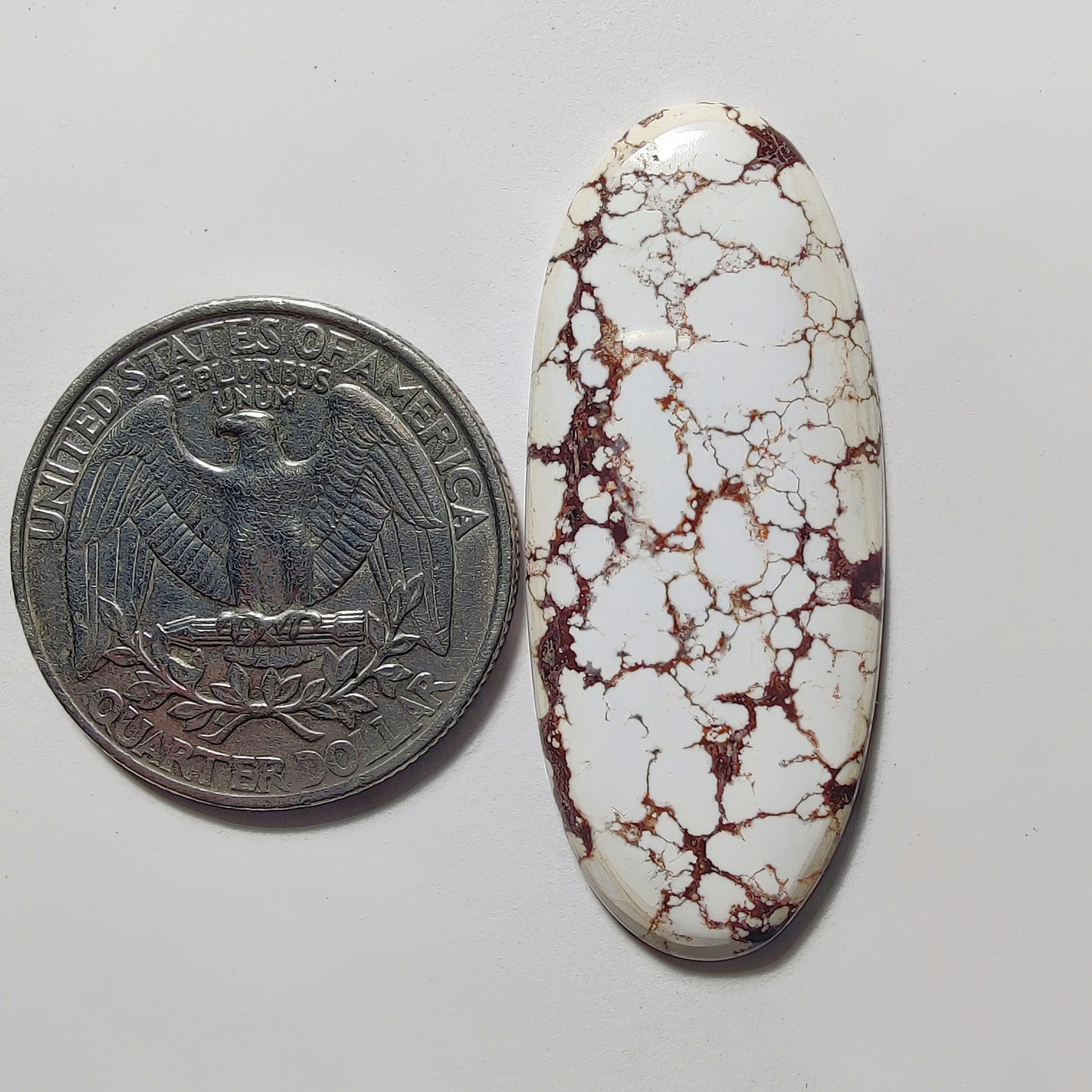 Wild Horse Jasper gemstone cabochon - natural crystal healing stone for jewelry making by Gemivra