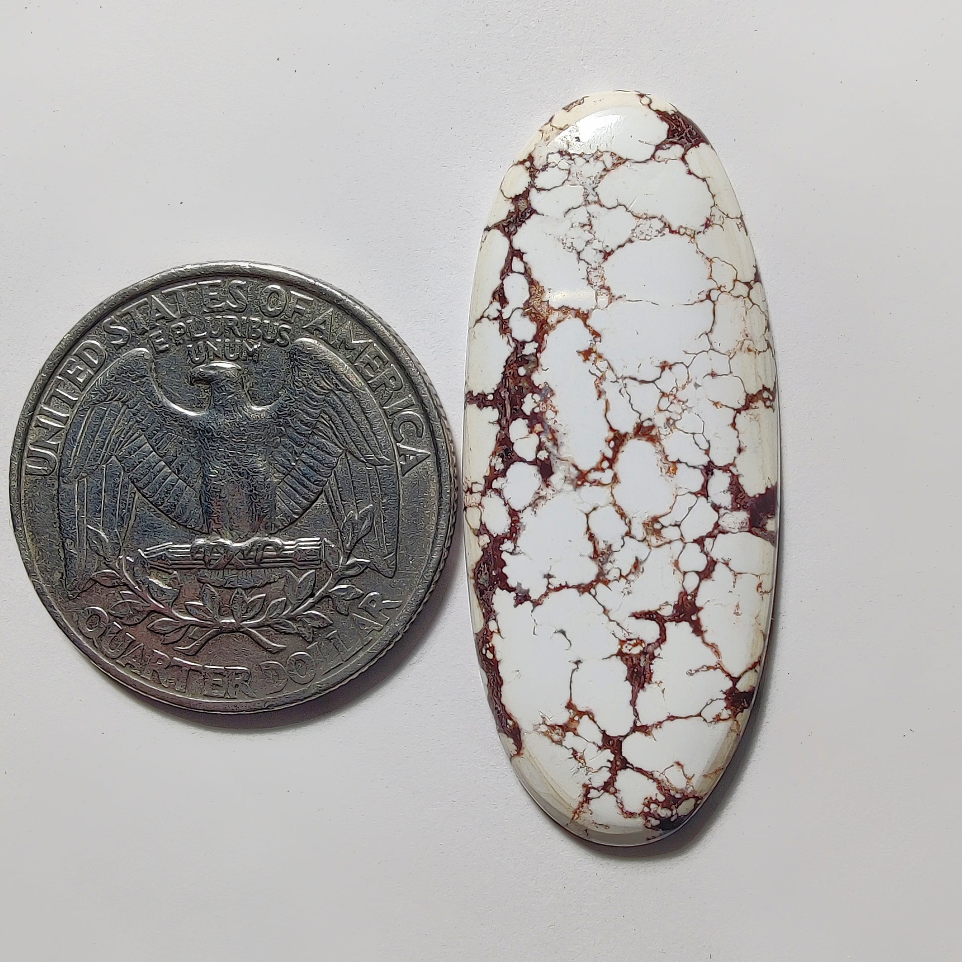 Wild Horse Jasper gemstone cabochon - natural crystal healing stone for jewelry making by Gemivra