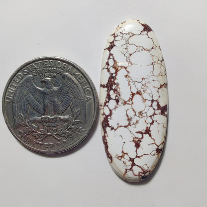 Wild Horse Jasper gemstone cabochon - natural crystal healing stone for jewelry making by Gemivra