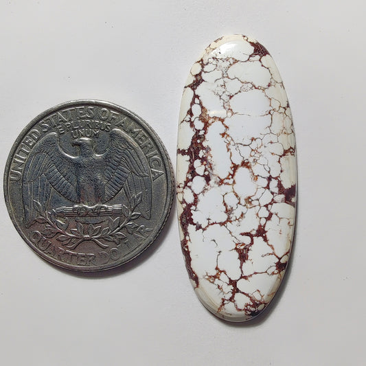 Wild Horse Jasper gemstone cabochon - natural crystal healing stone for jewelry making by Gemivra