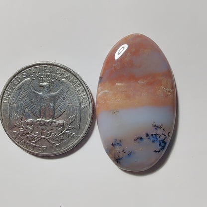 Honey Dendritic Agate gemstone cabochon - natural crystal healing stone for jewelry making by Gemivra