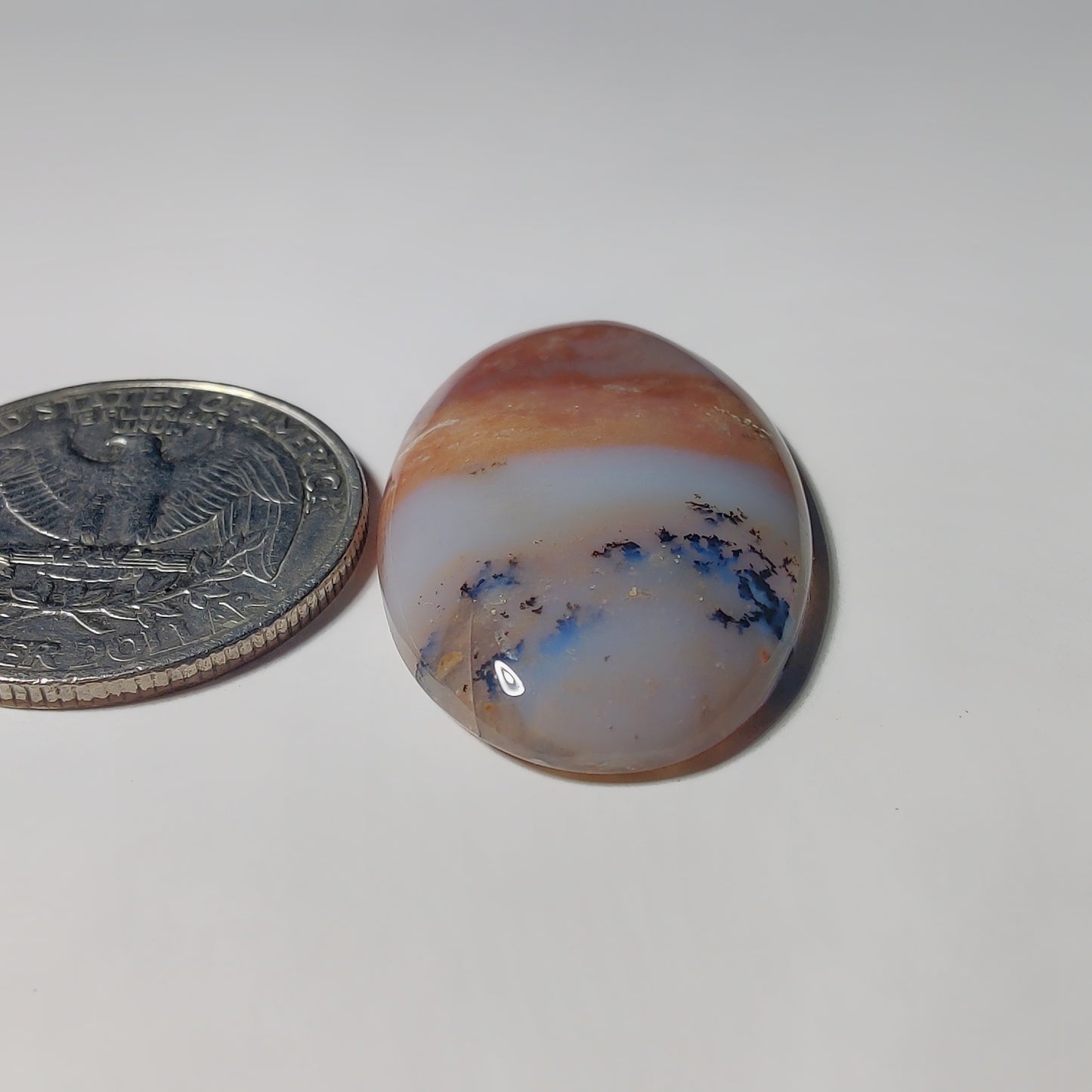 Honey Dendritic Agate