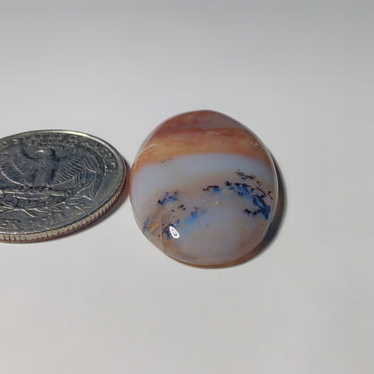 Honey Dendritic Agate