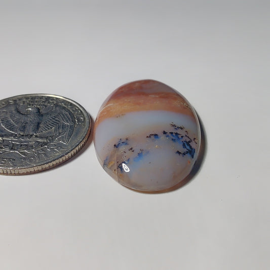 Honey Dendritic Agate