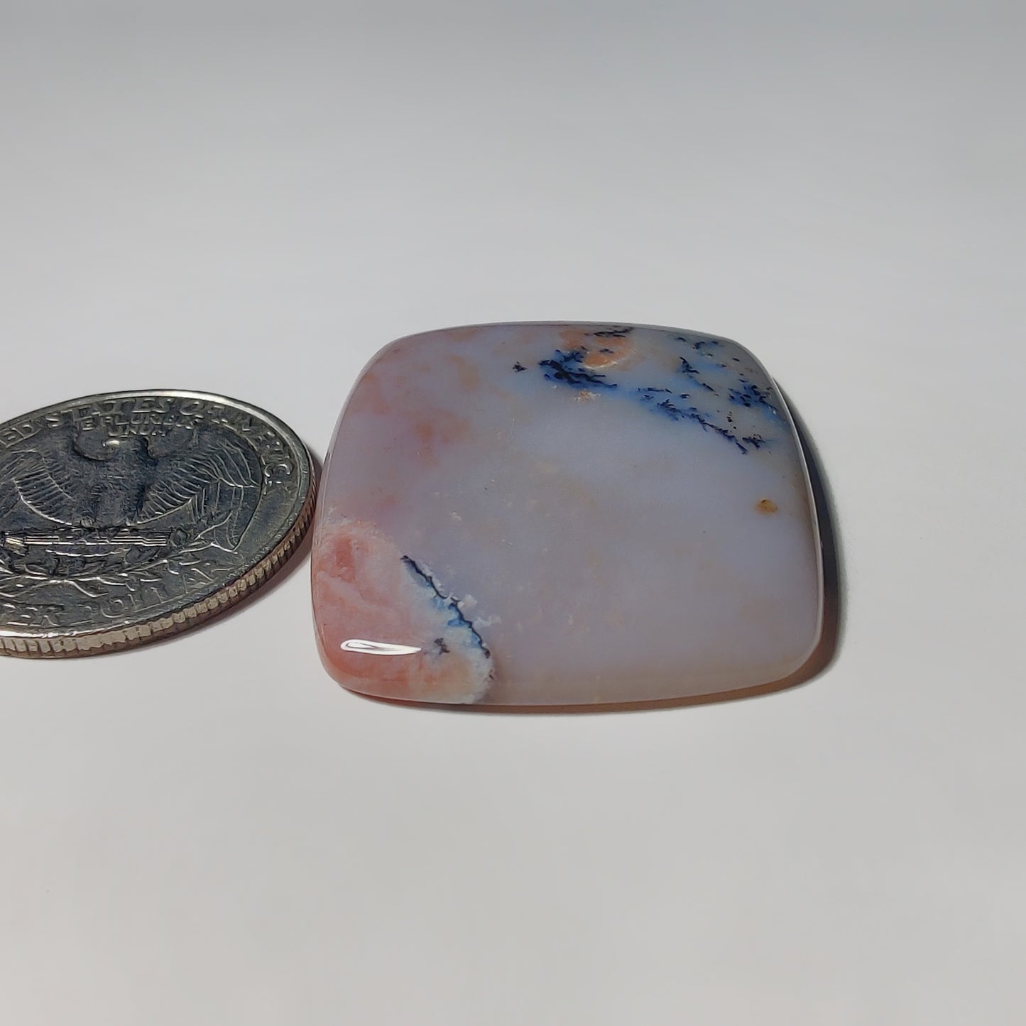 Honey Dendritic Agate