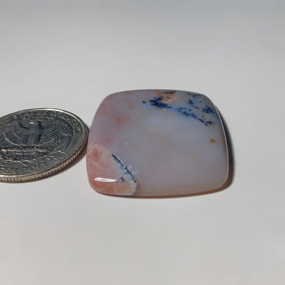 Honey Dendritic Agate