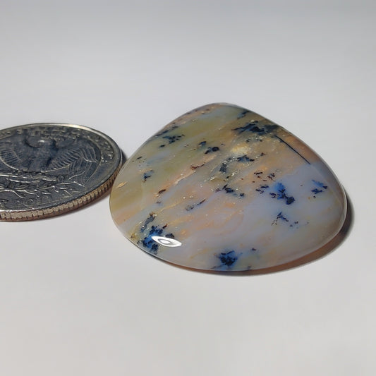 Honey Dendritic Agate