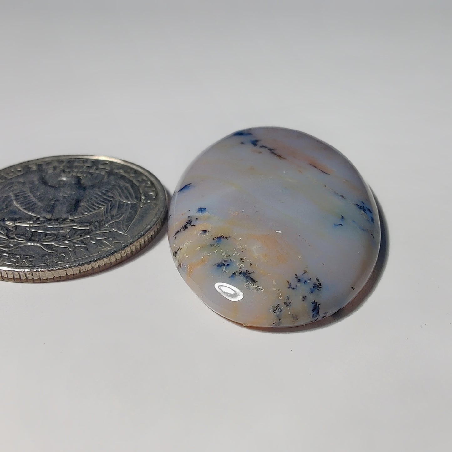 Honey Dendritic Agate