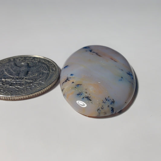 Honey Dendritic Agate