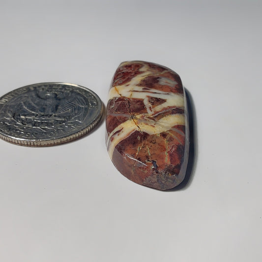 Chocolate Jasper