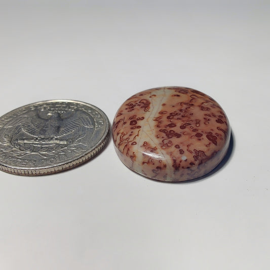 Coffee Bean Jasper gemstone cabochon - natural crystal healing stone for jewelry making by Gemivra