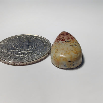 Coffee Bean Jasper gemstone cabochon - natural crystal healing stone for jewelry making by Gemivra
