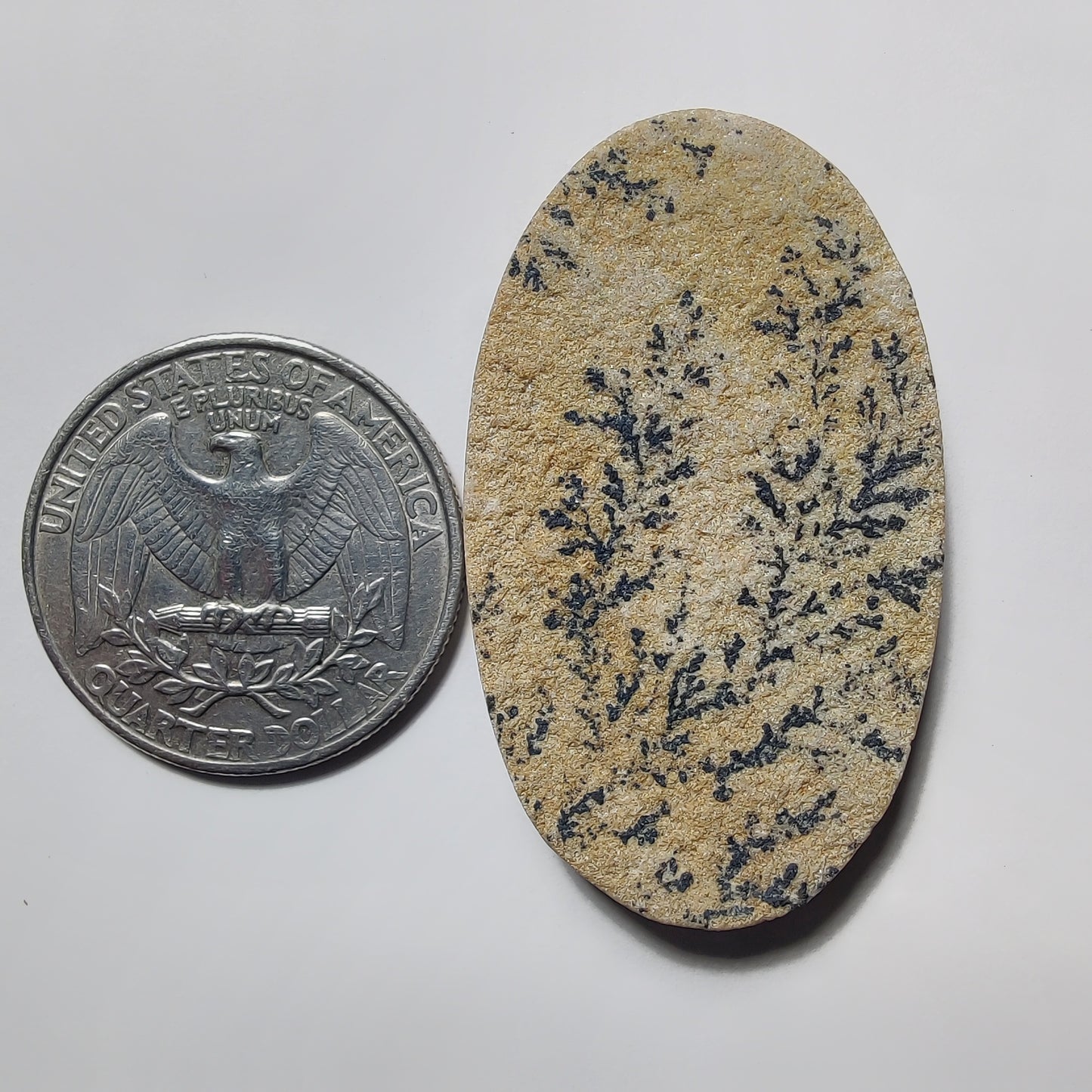 German Dendrite gemstone cabochon - natural crystal healing stone for jewelry making by Gemivra