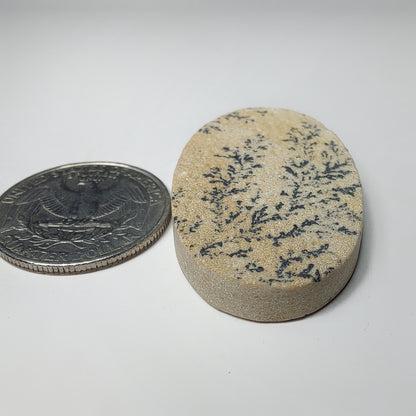 German Dendrite