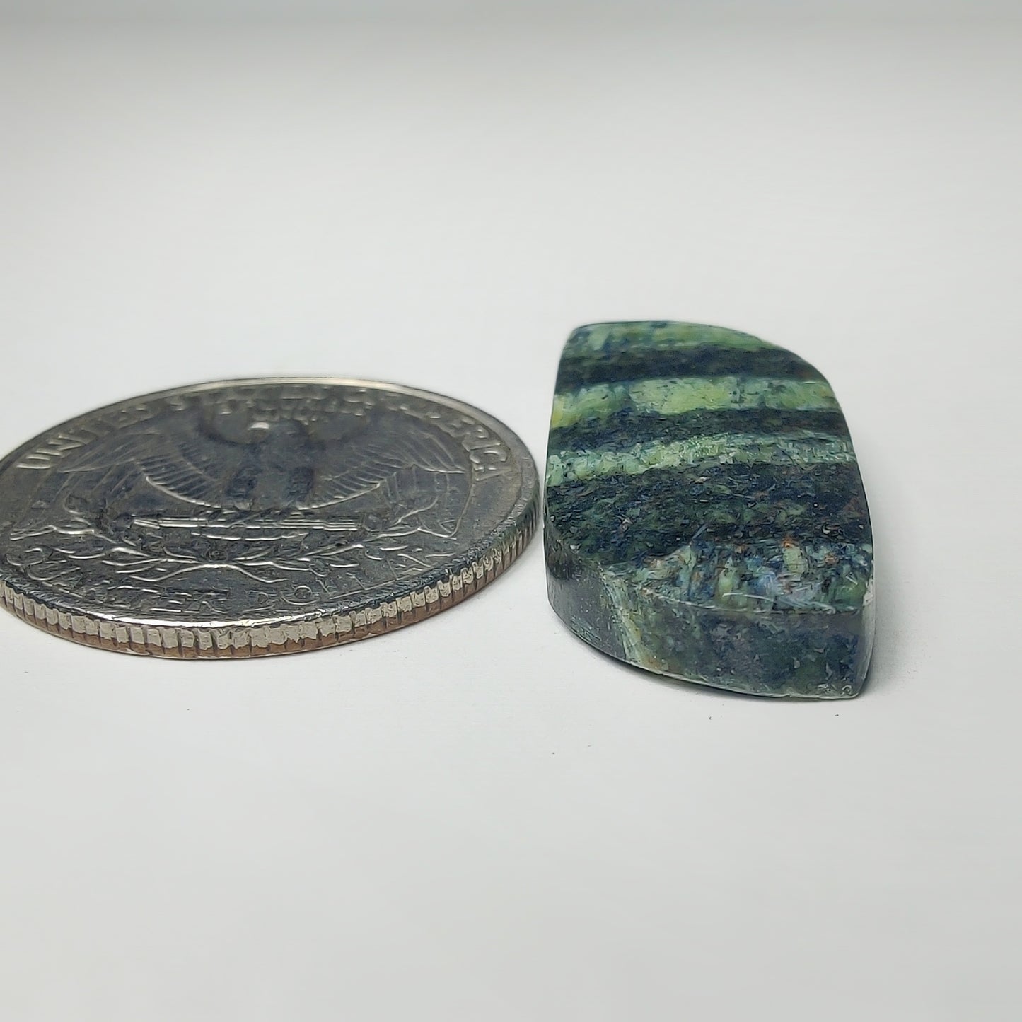Zebra Jasper