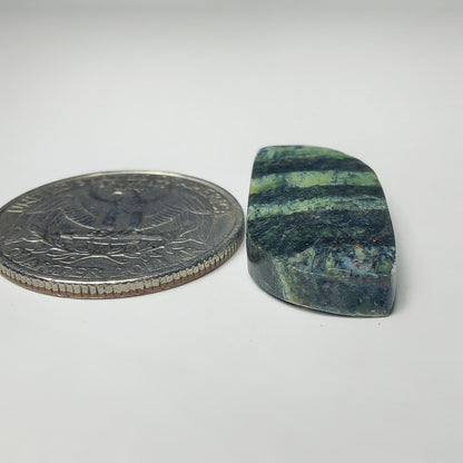 Zebra Jasper
